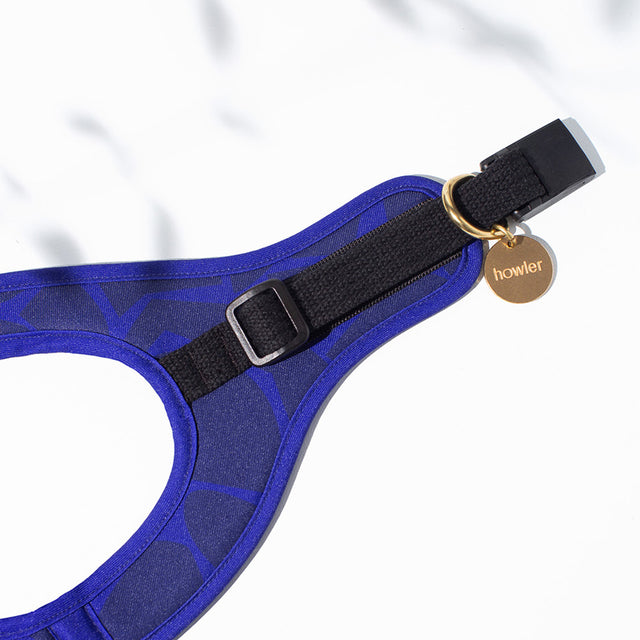 Step In Cat Harness - Billy