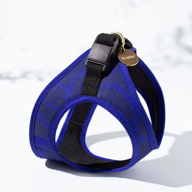 Step In Cat Harness - Billy