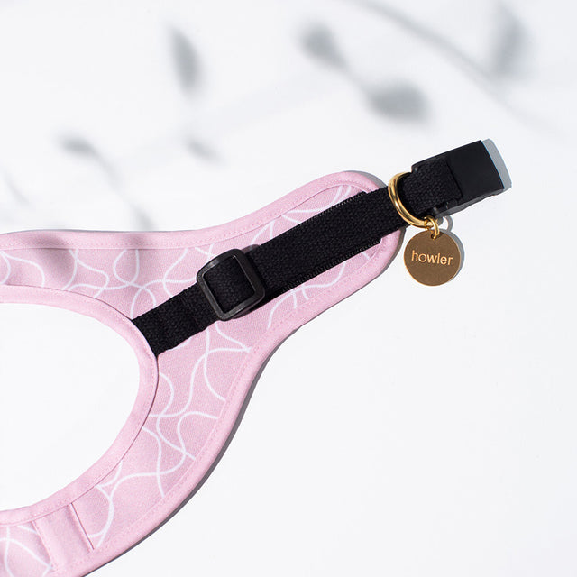 Step In Cat Harness - Londyn