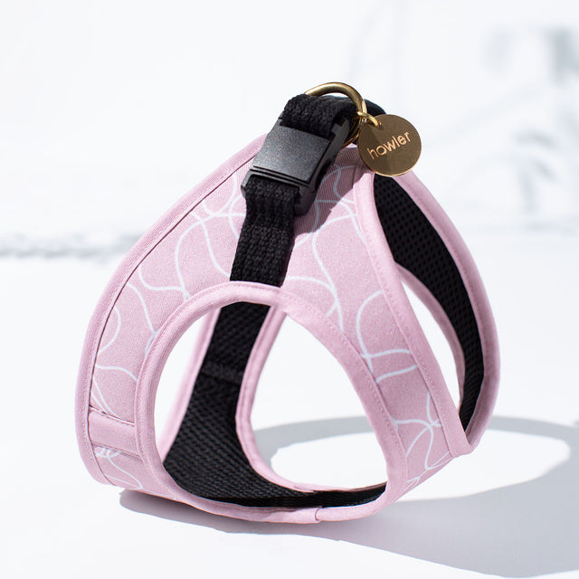 Step In Cat Harness - Londyn