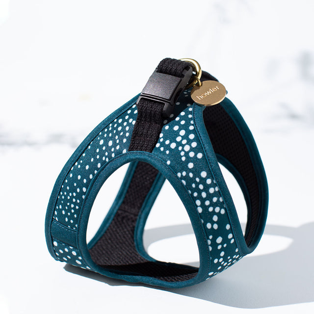 Step In Dog Harness - Flo